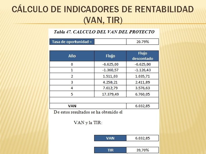 CÁLCULO DE INDICADORES DE RENTABILIDAD (VAN, TIR) 