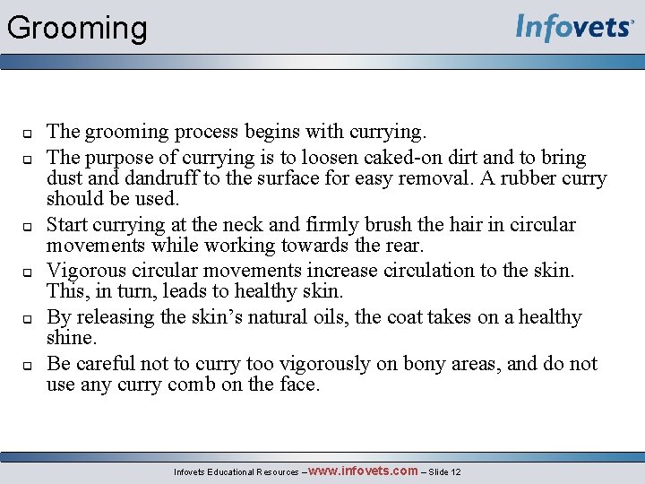 Grooming q q q The grooming process begins with currying. The purpose of currying
