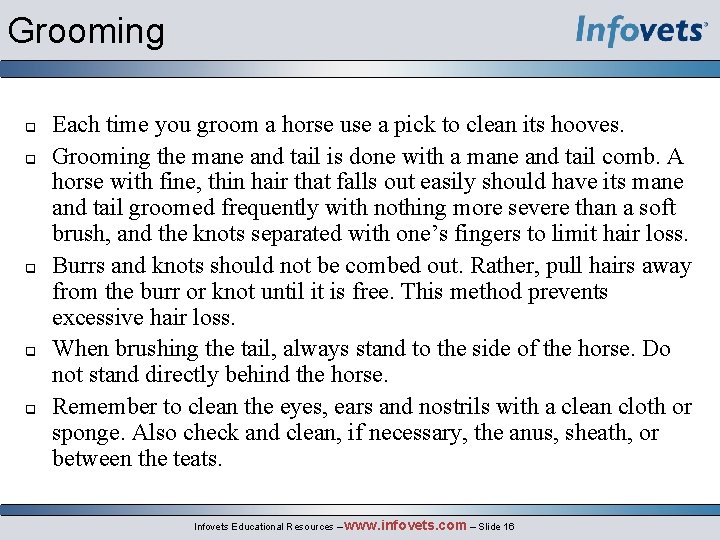 Grooming q q q Each time you groom a horse use a pick to