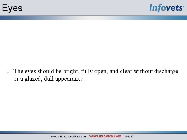 Eyes q The eyes should be bright, fully open, and clear without discharge or