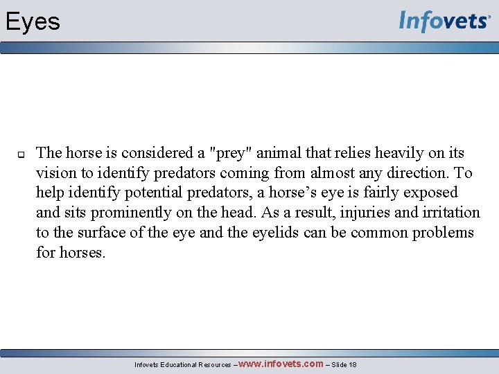Eyes q The horse is considered a "prey" animal that relies heavily on its