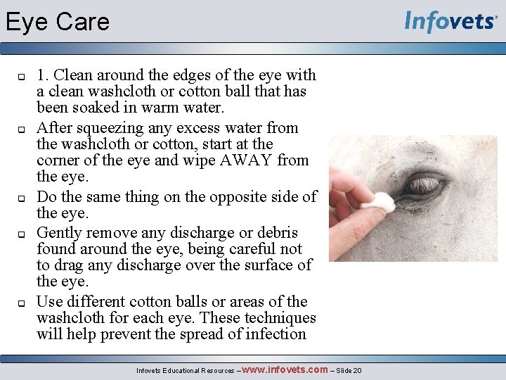 Eye Care q q q 1. Clean around the edges of the eye with