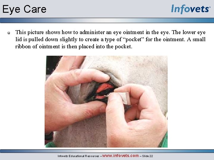 Eye Care q This picture shows how to administer an eye ointment in the