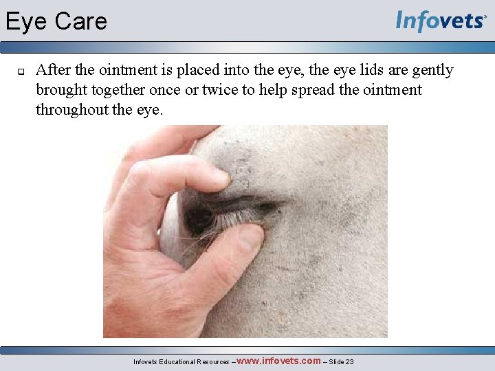 Eye Care q After the ointment is placed into the eye, the eye lids