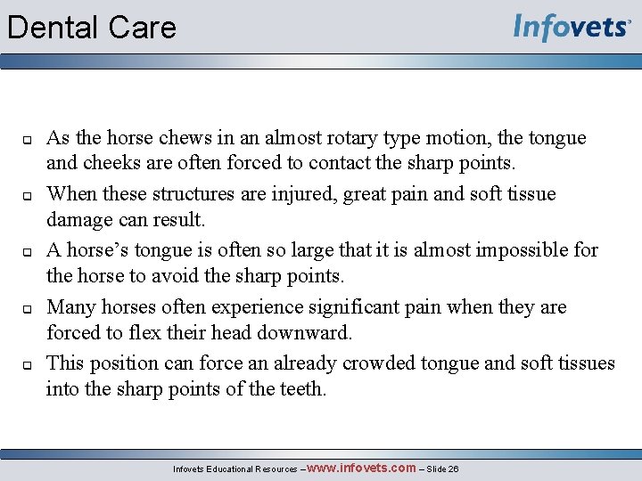 Dental Care q q q As the horse chews in an almost rotary type