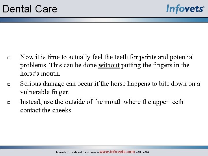 Dental Care q q q Now it is time to actually feel the teeth