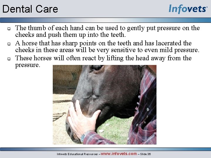 Dental Care q q q The thumb of each hand can be used to