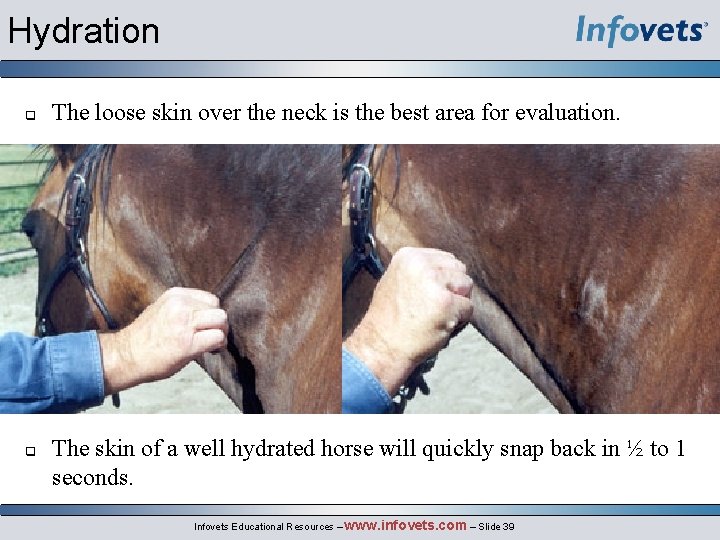 Hydration q q The loose skin over the neck is the best area for