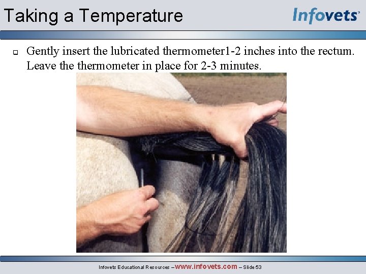 Taking a Temperature q Gently insert the lubricated thermometer 1 -2 inches into the