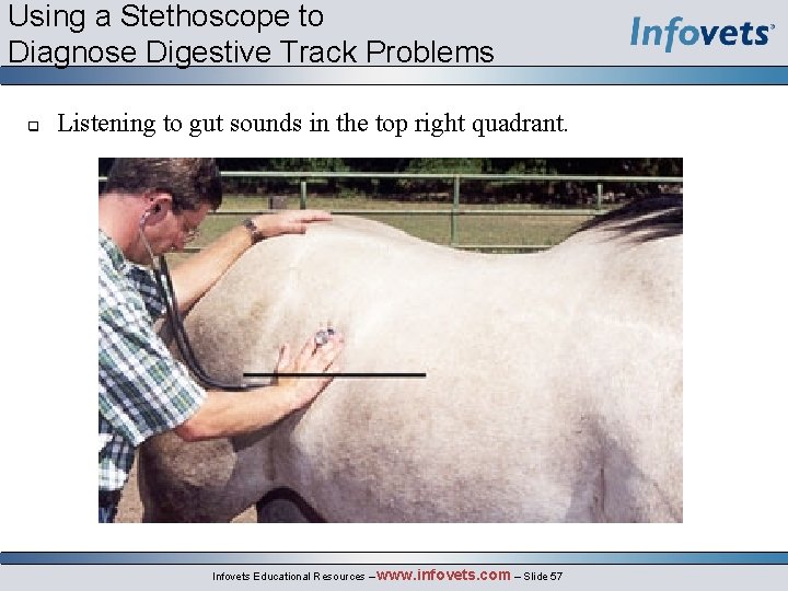 Using a Stethoscope to Diagnose Digestive Track Problems q Listening to gut sounds in