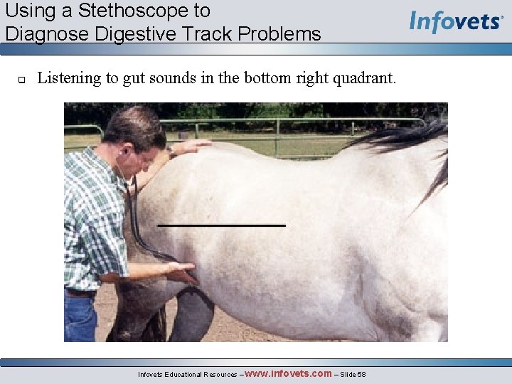 Using a Stethoscope to Diagnose Digestive Track Problems q Listening to gut sounds in