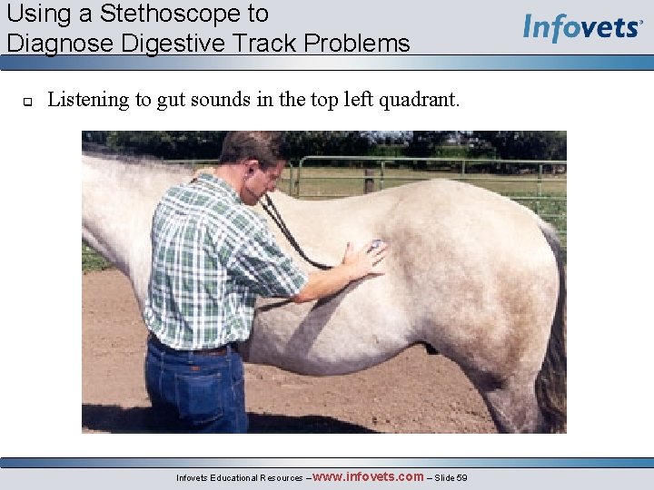 Using a Stethoscope to Diagnose Digestive Track Problems q Listening to gut sounds in