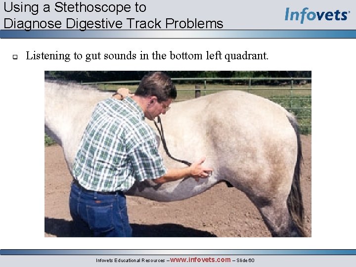 Using a Stethoscope to Diagnose Digestive Track Problems q Listening to gut sounds in