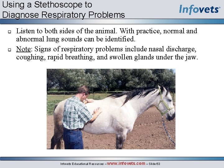 Using a Stethoscope to Diagnose Respiratory Problems q q Listen to both sides of
