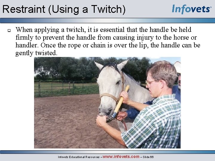 Restraint (Using a Twitch) q When applying a twitch, it is essential that the