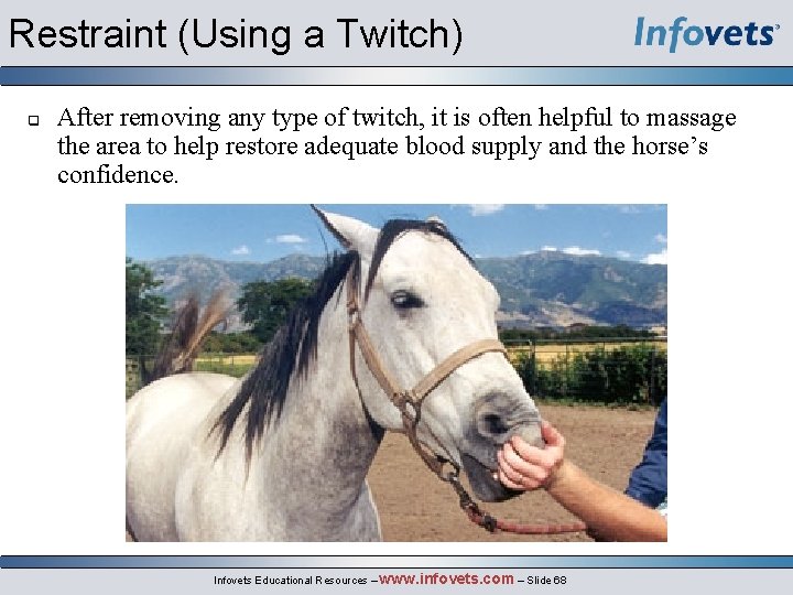 Restraint (Using a Twitch) q After removing any type of twitch, it is often
