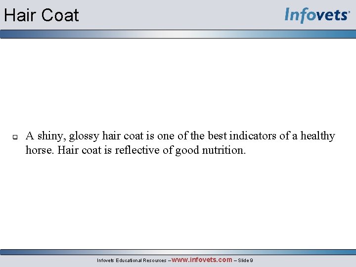 Hair Coat q A shiny, glossy hair coat is one of the best indicators