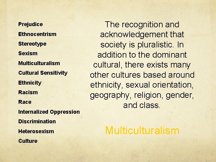 Prejudice Ethnocentrism Stereotype Sexism Multiculturalism Cultural Sensitivity Ethnicity Racism Race Internalized Oppression Discrimination Heterosexism