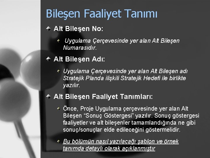 Bileşen Faaliyet Tanımı Alt Bileşen No: Uygulama Çerçevesinde yer alan Alt Bileşen Numarasıdır. Alt