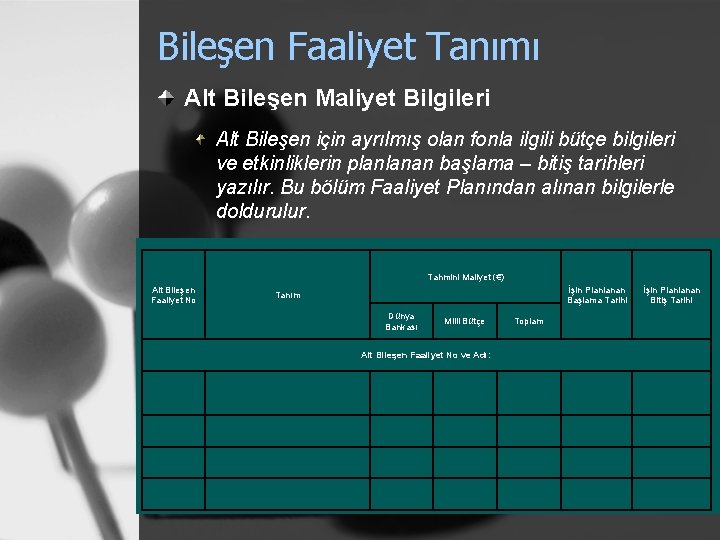 Bileşen Faaliyet Tanımı Alt Bileşen Maliyet Bilgileri Alt Bileşen için ayrılmış olan fonla ilgili