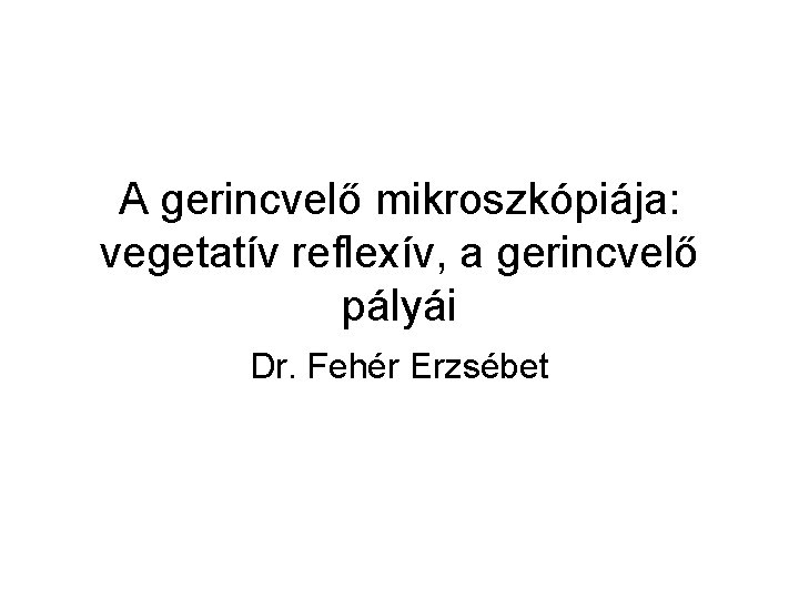 A gerincvelő mikroszkópiája: vegetatív reflexív, a gerincvelő pályái Dr. Fehér Erzsébet 