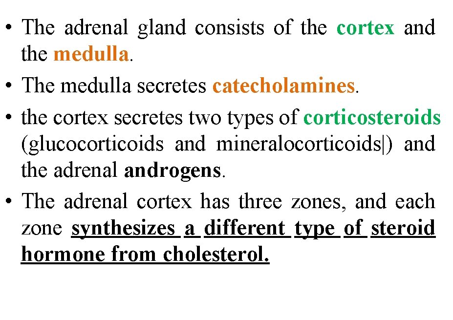• The adrenal gland consists of the cortex and the medulla. • The • The adrenal gland consists of the cortex and the medulla. • The