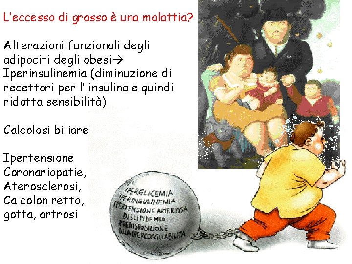 L’eccesso di grasso è una malattia? Alterazioni funzionali degli adipociti degli obesi Iperinsulinemia (diminuzione