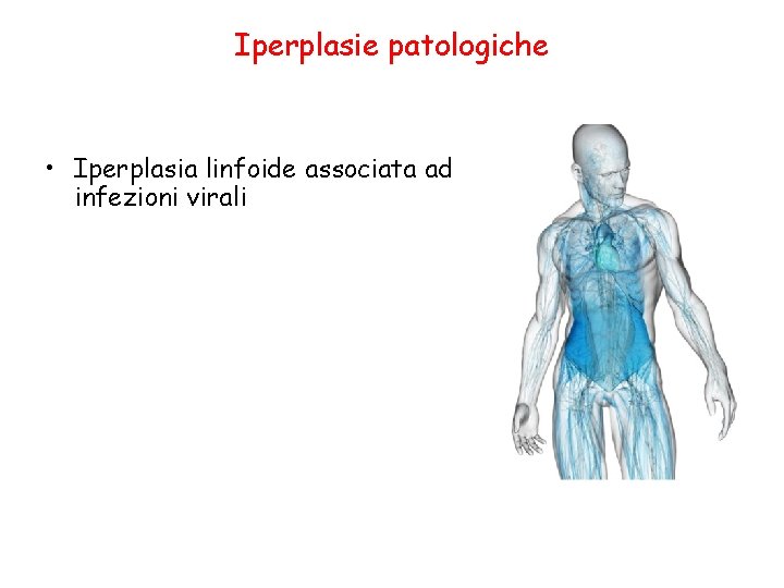 Iperplasie patologiche • Iperplasia linfoide associata ad infezioni virali 
