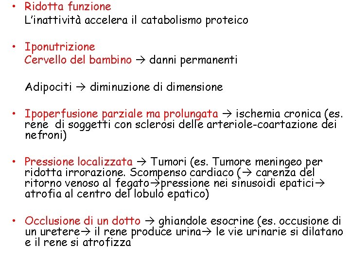  • Ridotta funzione L’inattività accelera il catabolismo proteico • Iponutrizione Cervello del bambino