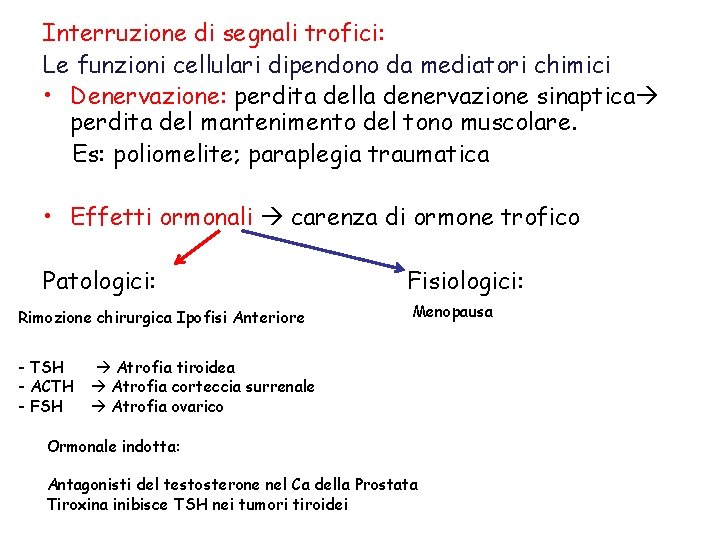 Interruzione di segnali trofici: Le funzioni cellulari dipendono da mediatori chimici • Denervazione: perdita