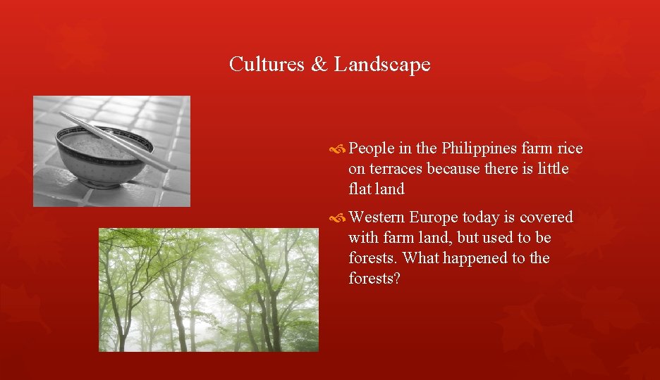 Cultures & Landscape People in the Philippines farm rice on terraces because there is