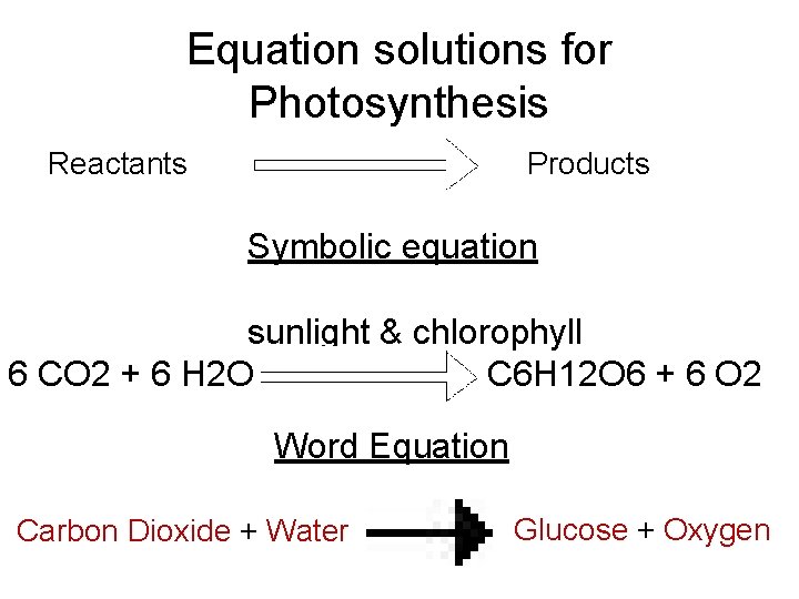 Plant Science Unit 2 Lesson 5 Photosynthesis What