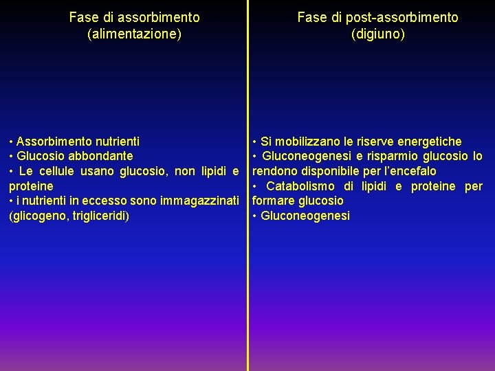 FISIOLOGIA DEL CONTROLLO GLUCIDICO METABOLISMO complesso delle reazioni