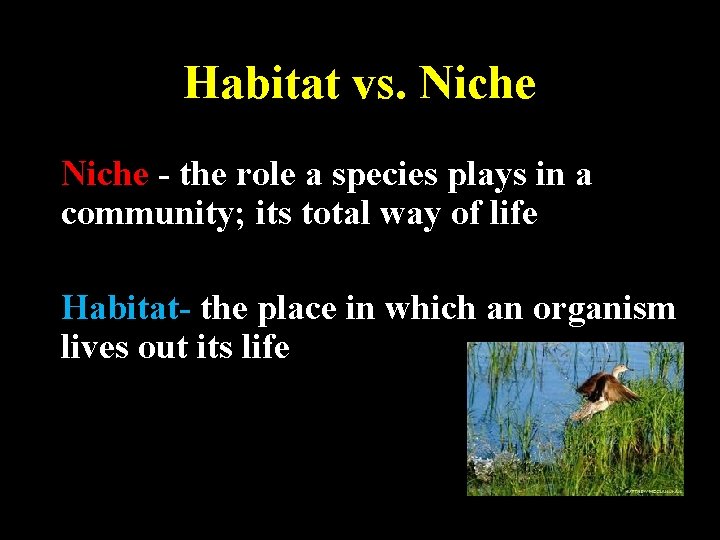 Habitat vs. Niche - the role a species plays in a community; its total