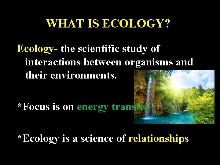 WHAT IS ECOLOGY? Ecology- the scientific study of interactions between organisms and their environments.