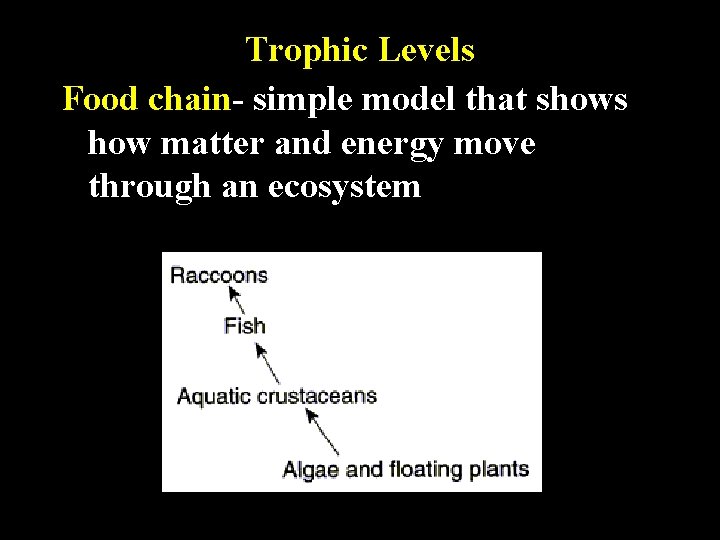 Trophic Levels Food chain- simple model that shows how matter and energy move through