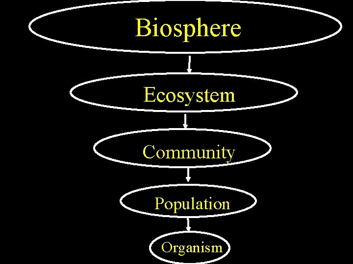 Biosphere Ecosystem Community Population Organism 