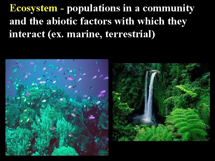 Ecosystem - populations in a community and the abiotic factors with which they interact