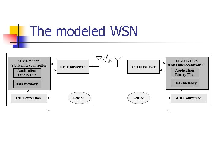 The modeled WSN 