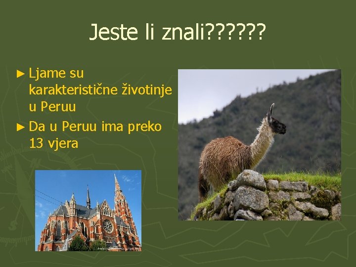Jeste li znali? ? ? ► Ljame su karakteristične životinje u Peruu ► Da