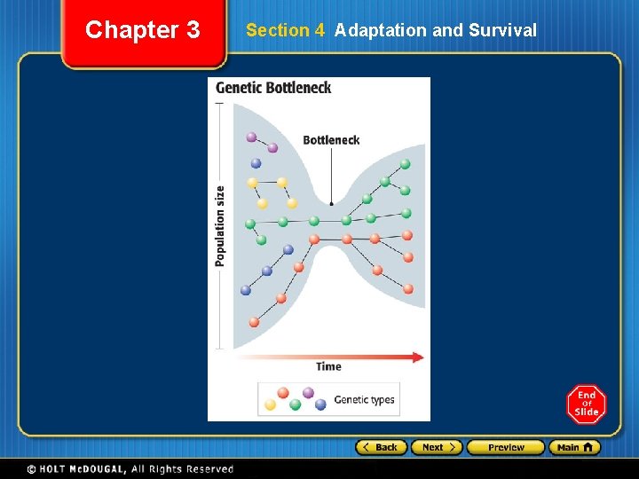 Chapter 3 Section 4 Adaptation and Survival 