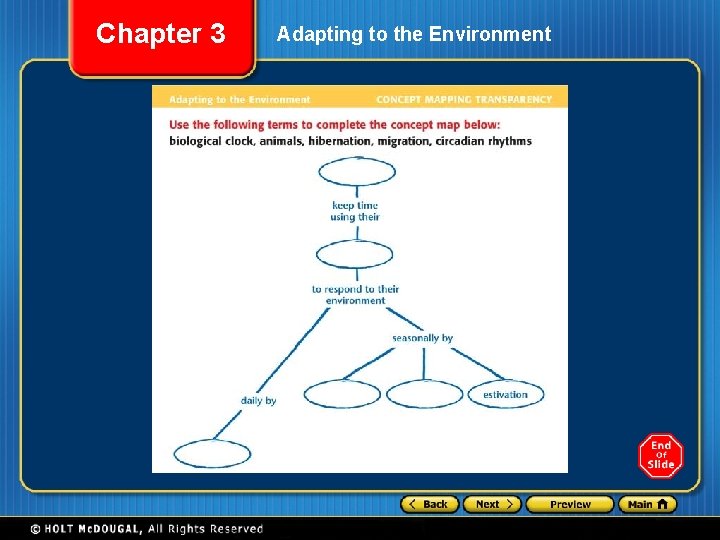 Chapter 3 Adapting to the Environment 