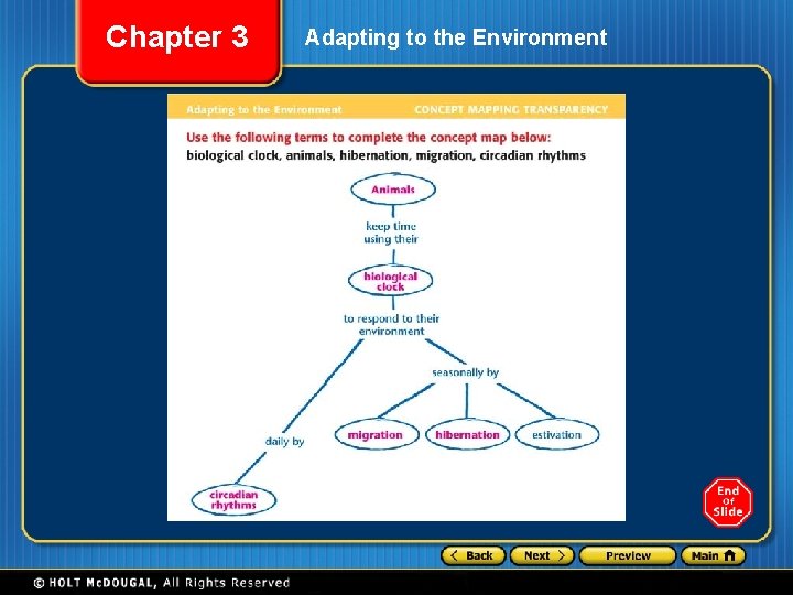 Chapter 3 Adapting to the Environment 