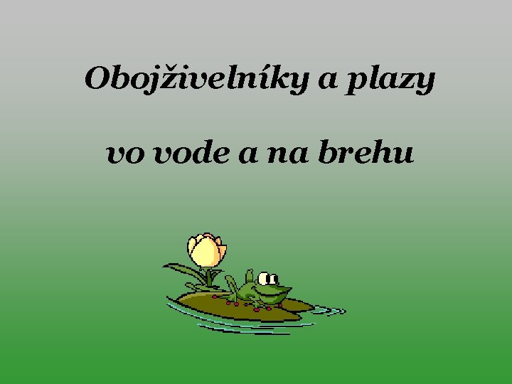 Obojživelníky a plazy vo vode a na brehu 