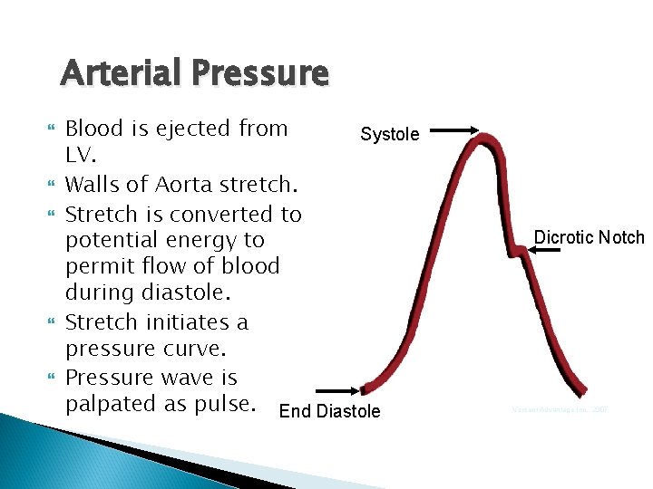 Arterial Pressure Blood is ejected from Systole LV. Walls of Aorta stretch. Stretch is