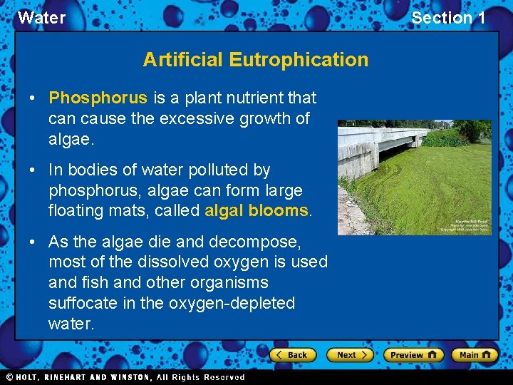 Water Section 1 Artificial Eutrophication • Phosphorus is a plant nutrient that can cause