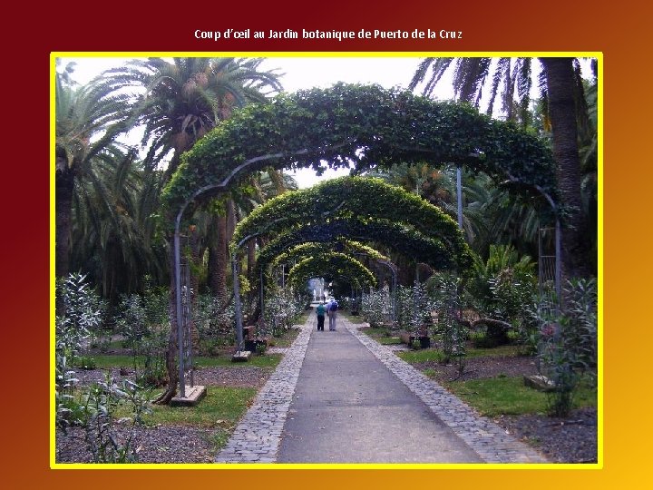 Coup d’œil au Jardin botanique de Puerto de la Cruz 