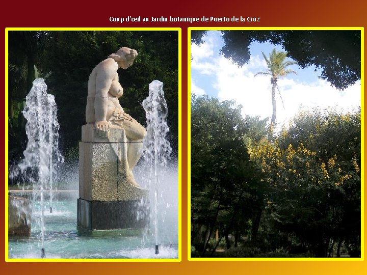 Coup d’œil au Jardin botanique de Puerto de la Cruz 