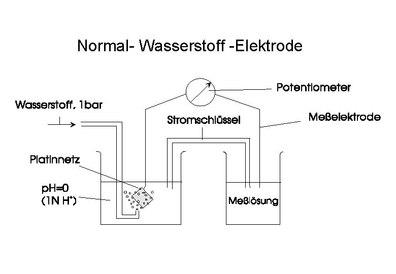 Normal- Wasserstoff -Elektrode 