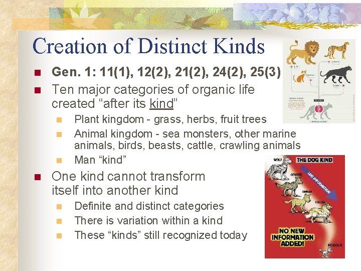 Creation of Distinct Kinds n n Gen. 1: 11(1), 12(2), 21(2), 24(2), 25(3) Ten Creation of Distinct Kinds n n Gen. 1: 11(1), 12(2), 21(2), 24(2), 25(3) Ten